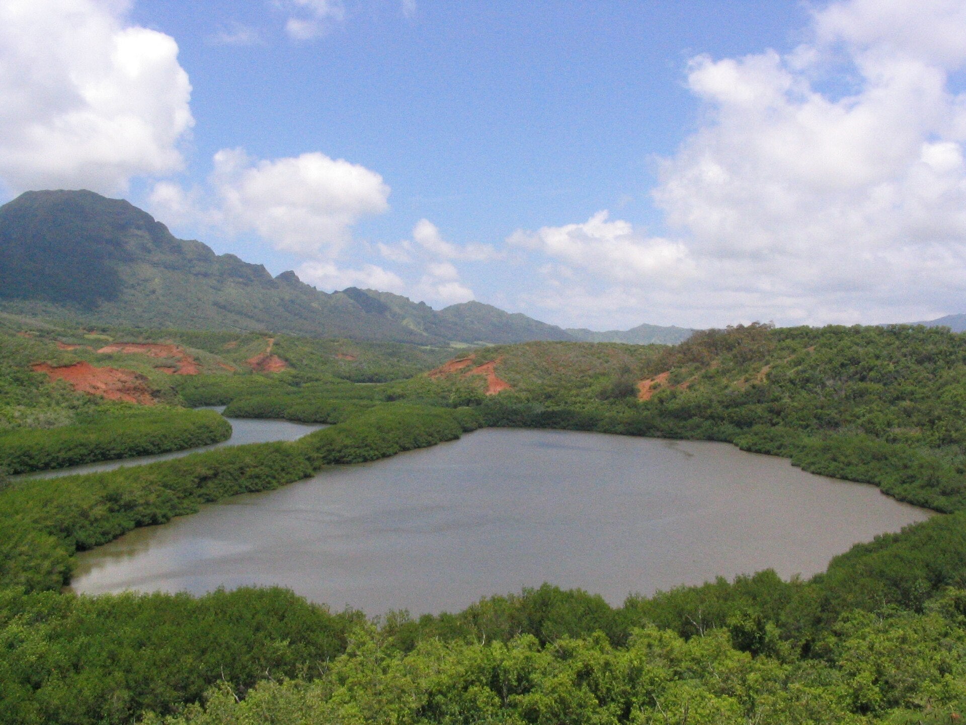 The Alekoko “Menehune” Fishpond on Kauaʻi, Hawaiʻi, a curved ancient stone-walled pond said to be built by the menehune