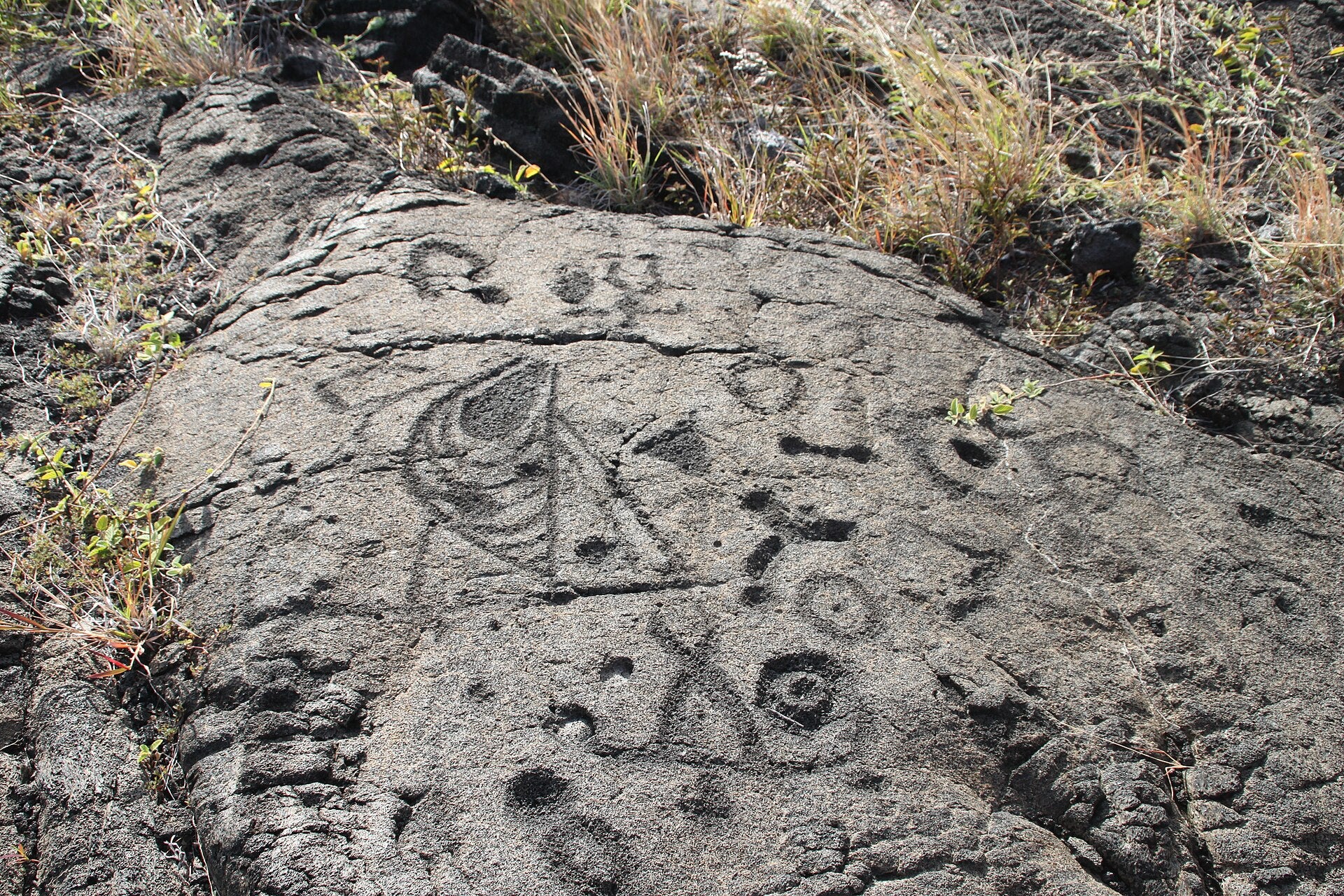 Ancient Hawaiian petroglyphs (kiʻi pōhaku) carved into pāhoehoe lava at Puʻuloa, Hawaiʻi Volcanoes National Park