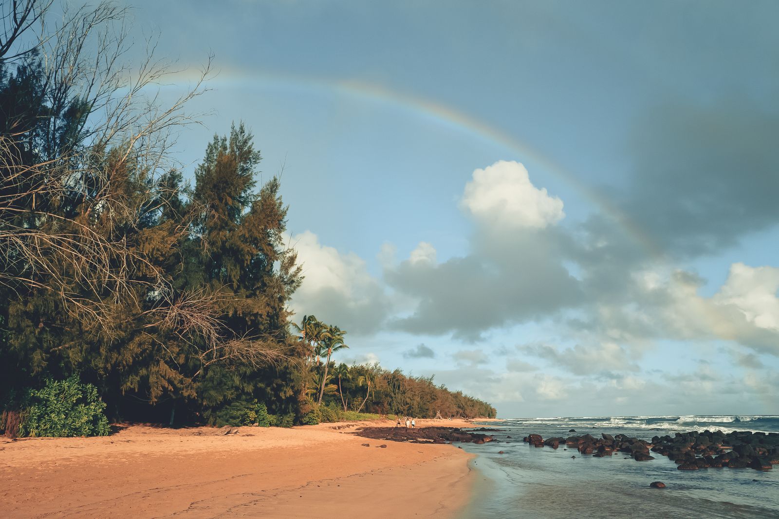 A rainbow arcing over a sandy Hawaiian beach lined with ironwood and coconut palms, with rain clouds and surf breaking on the reef, Hawaiʻi