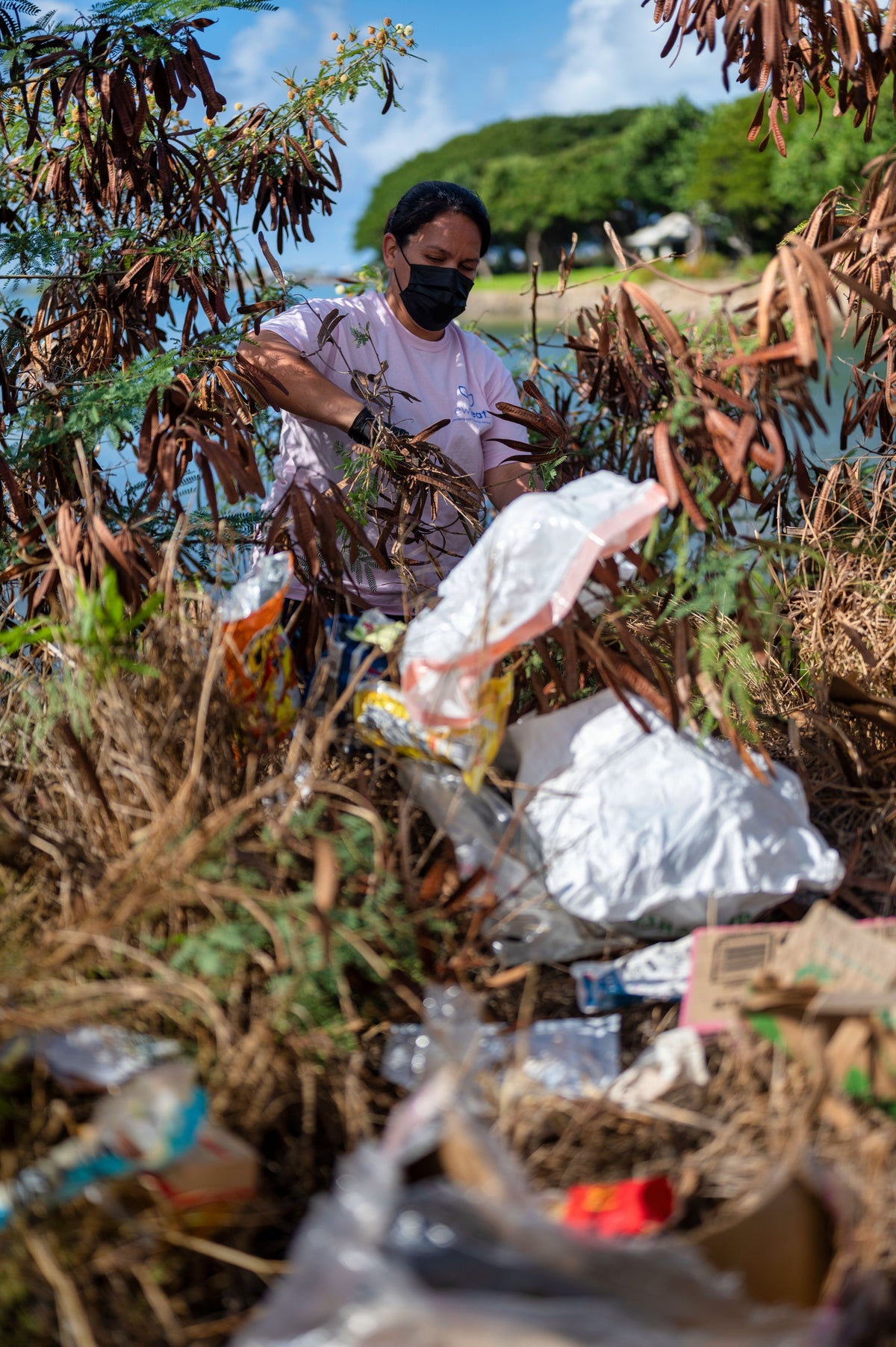 A volunteer clears litter and invasive brush from a tropical shoreline