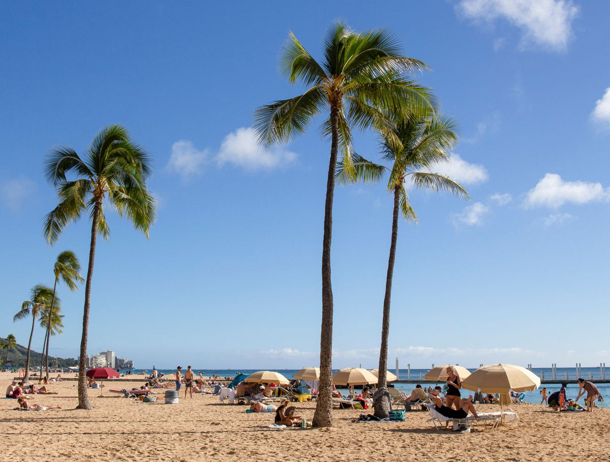 Palm trees and beach umbrellas on a sunny Hawaiʻi beach