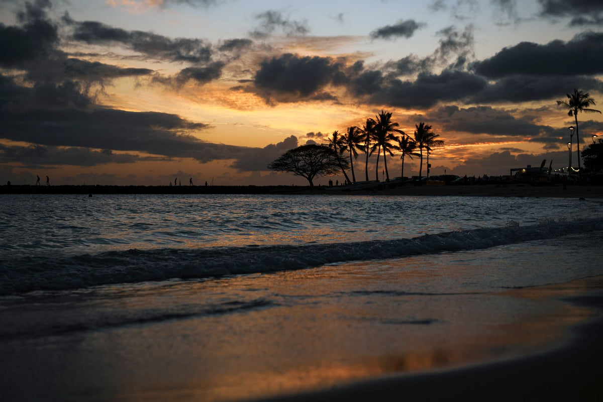 Golden hour sunset over the ocean with silhouetted palm trees on a Hawaiian beach