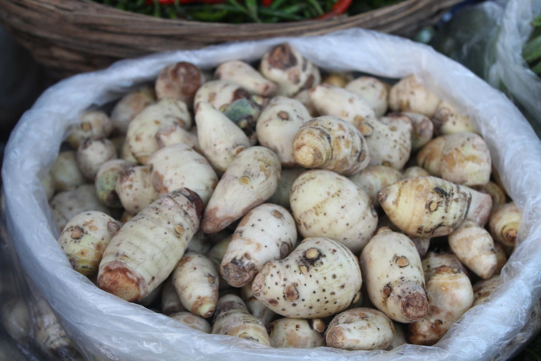 Freshly harvested taro (kalo), the source of poi, in Hawaiʻi
