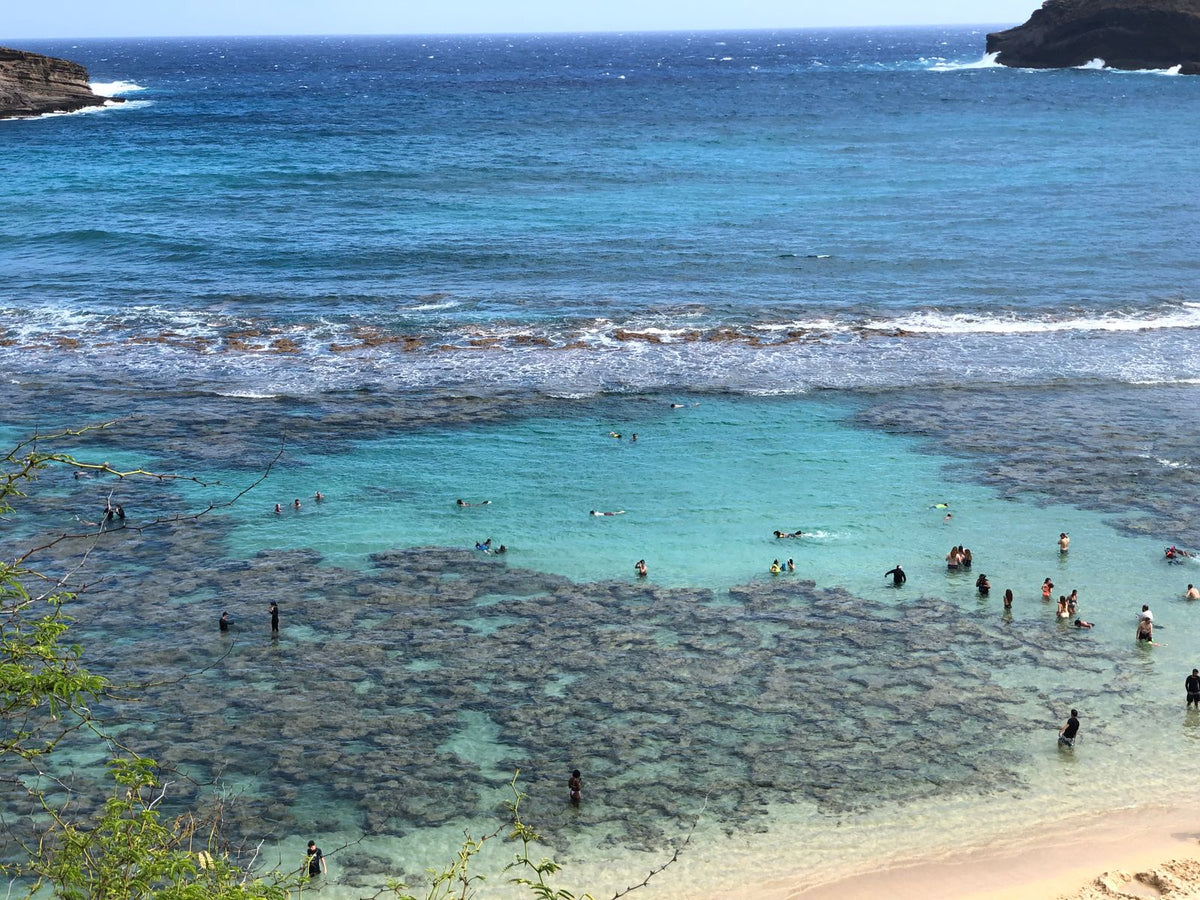 Snorkelers exploring the coral reef and turquoise waters of Hanauma Bay, Oʻahu, Hawaiʻi