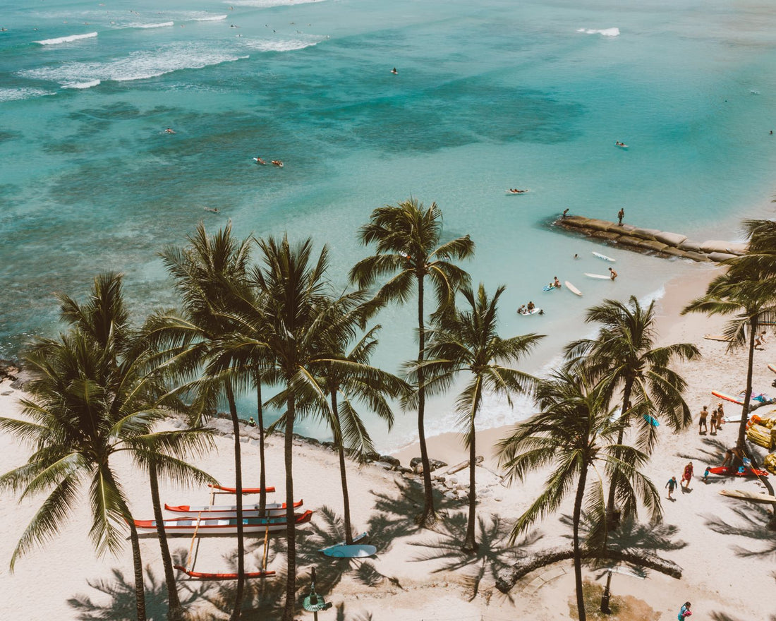 Aerial view of palm trees, outrigger canoes, and surfers on a turquoise Hawaiian beach