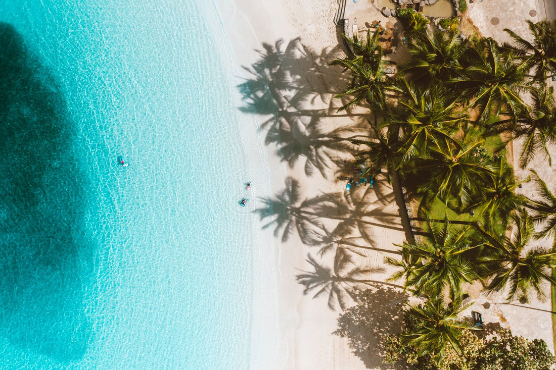 Aerial view of a palm-lined white sand beach and clear turquoise water on a holiday to Hawaiʻi
