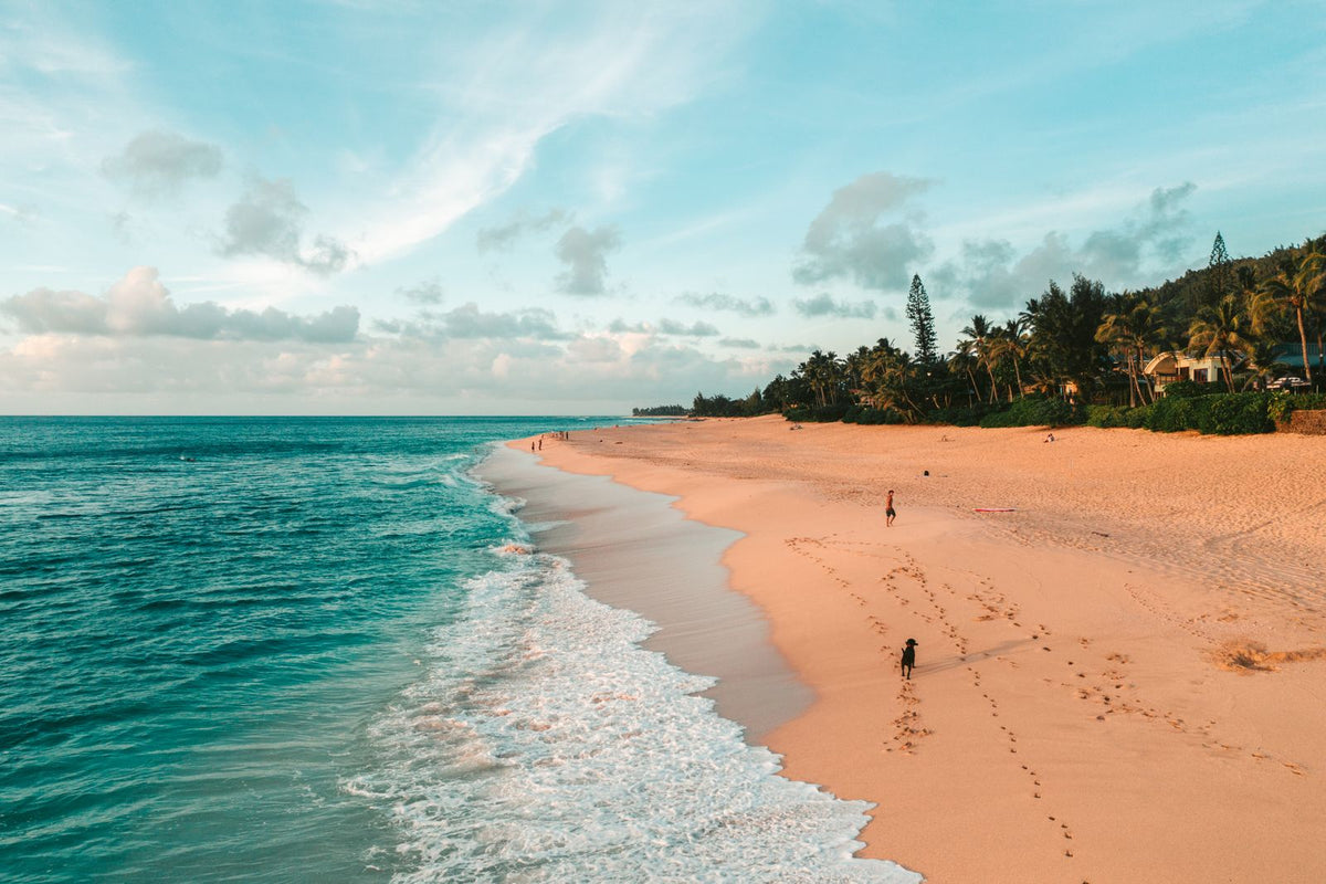 Aerial view of a Hawaiian beach with turquoise water and palm trees, Hawaiʻi