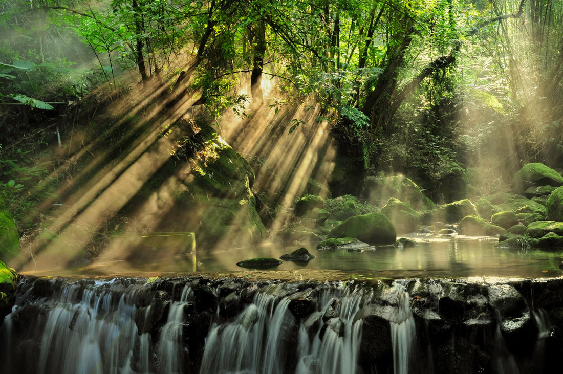 Sunlight streaming through a lush forest onto fresh flowing water, symbolizing Kāne, the Hawaiian god of light, fresh water, and life in Hawaiʻi