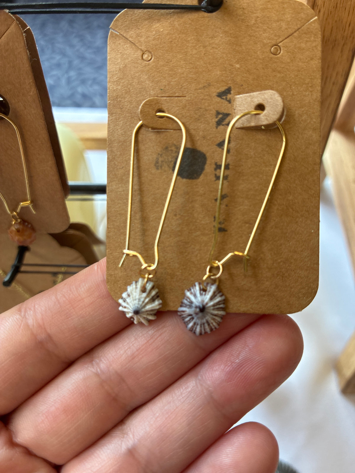 Gold Opihi Awa Earrings